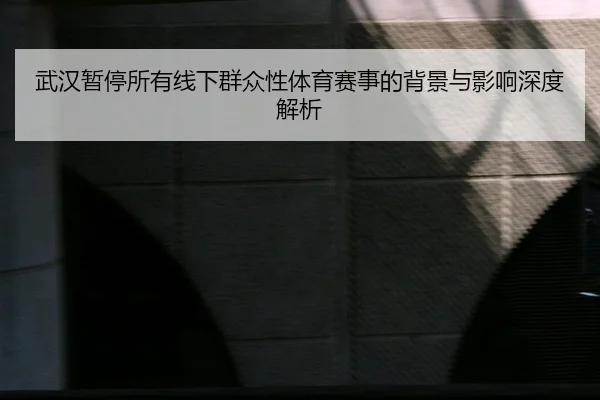 wu-han-zan-ting-suo-you-xian-xia-qun-zhong-xing-ti-yu-sai-shi-de-bei-jing-yu-ying-xiang-shen-du-jie-xi-2-169.jpg