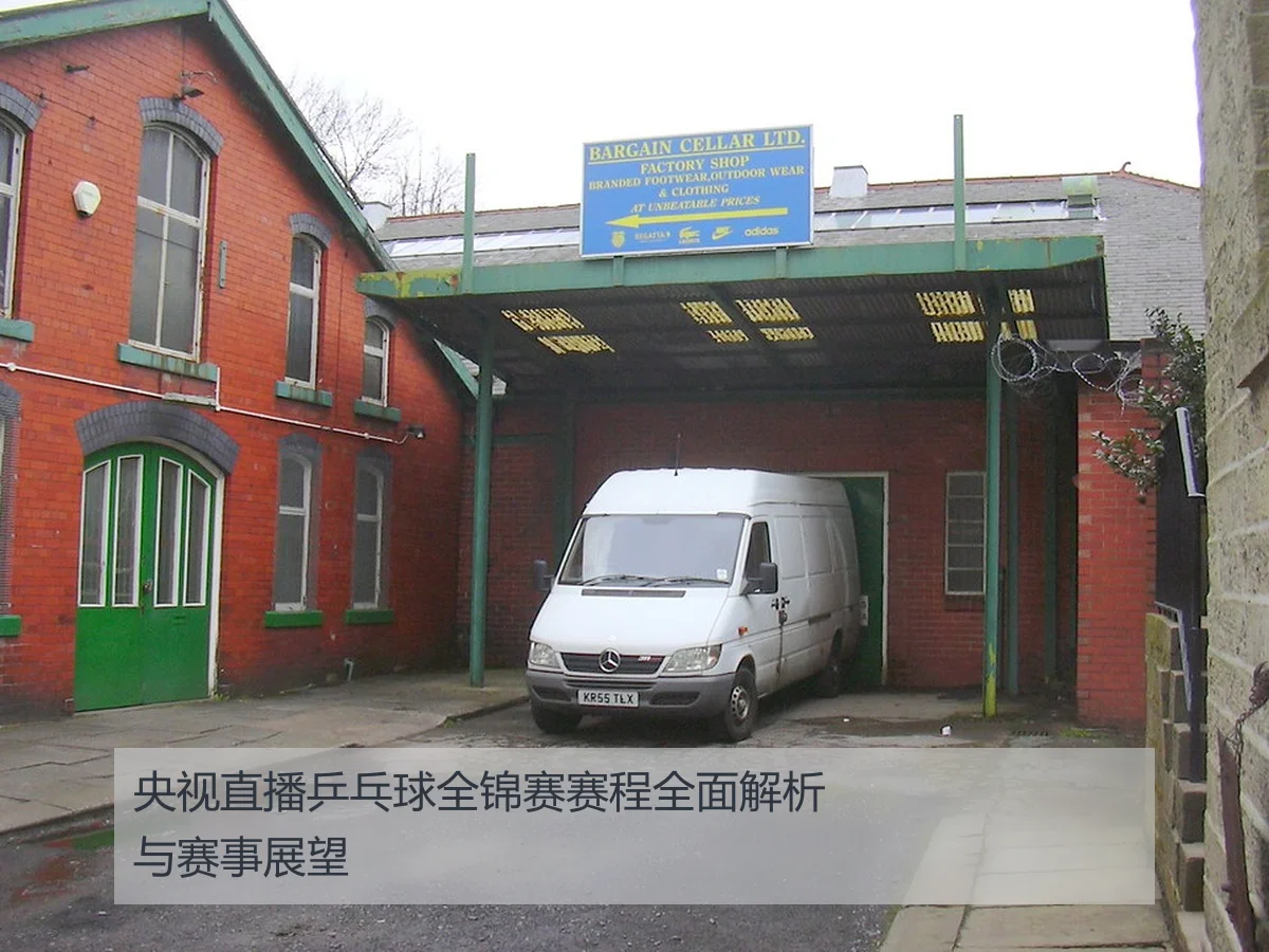 央视直播乒乓球全锦赛赛程全面解析与赛事展望